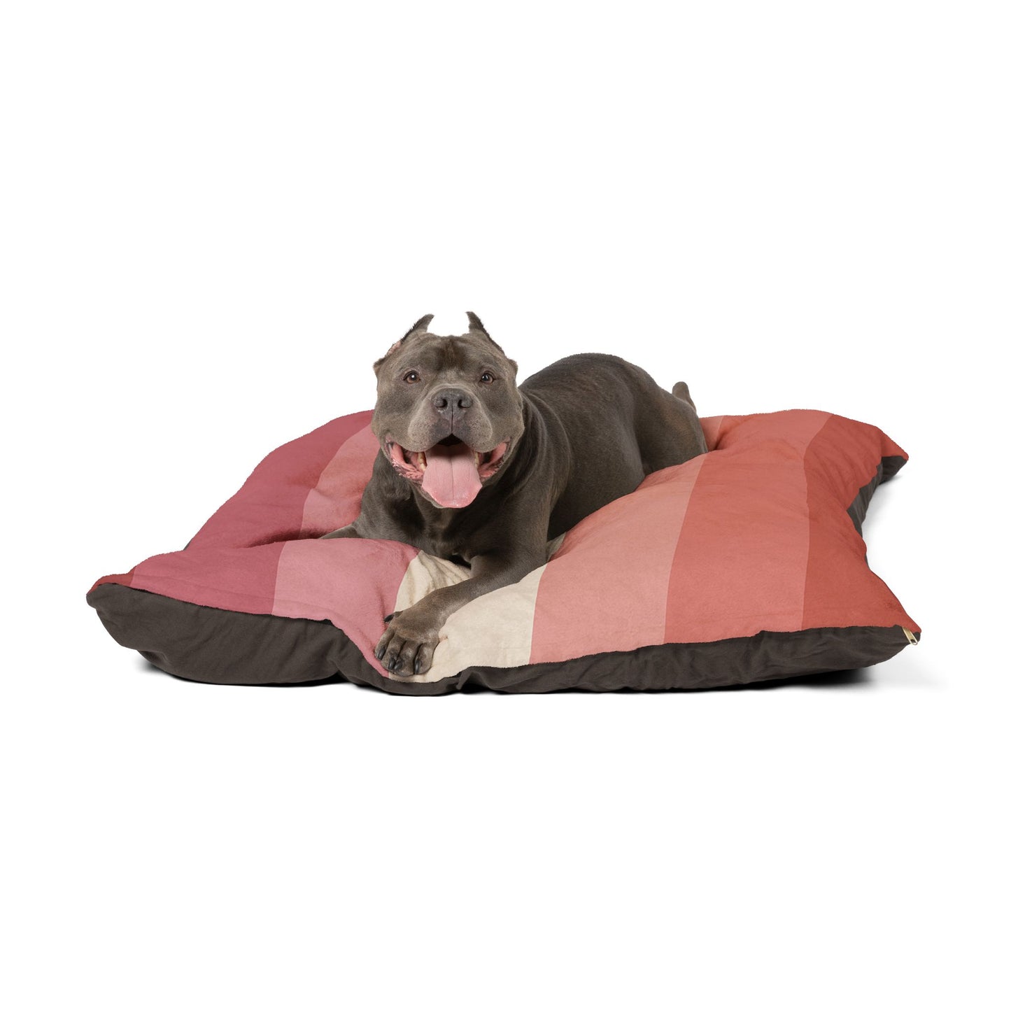 Luxury XL Lesbian-Pride Dog Bed – The Love Collection, Plush (50″ × 40″)