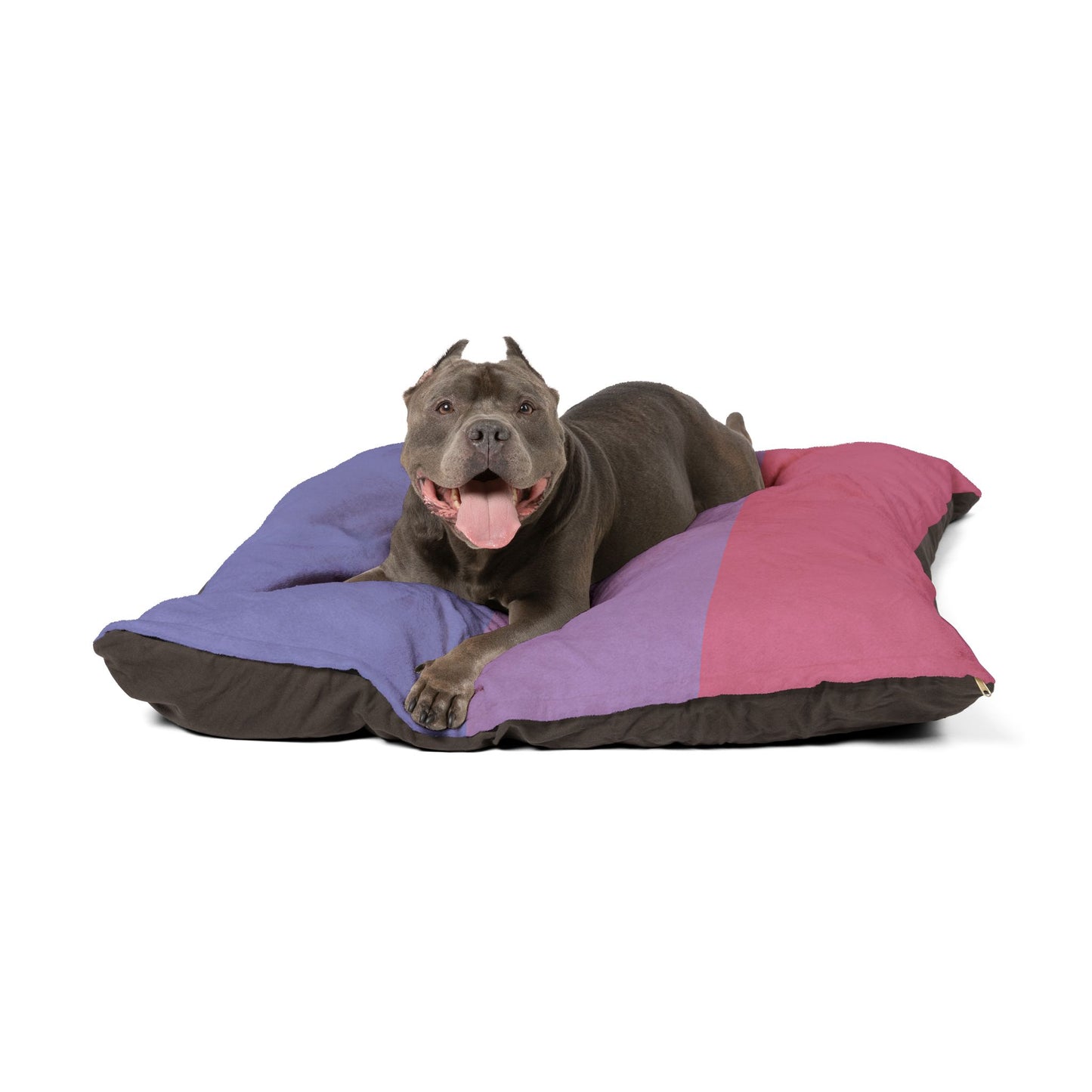Luxury XL Bisexual-Pride Dog Bed – The Spectrum Collection, Plush (50″ × 40″)
