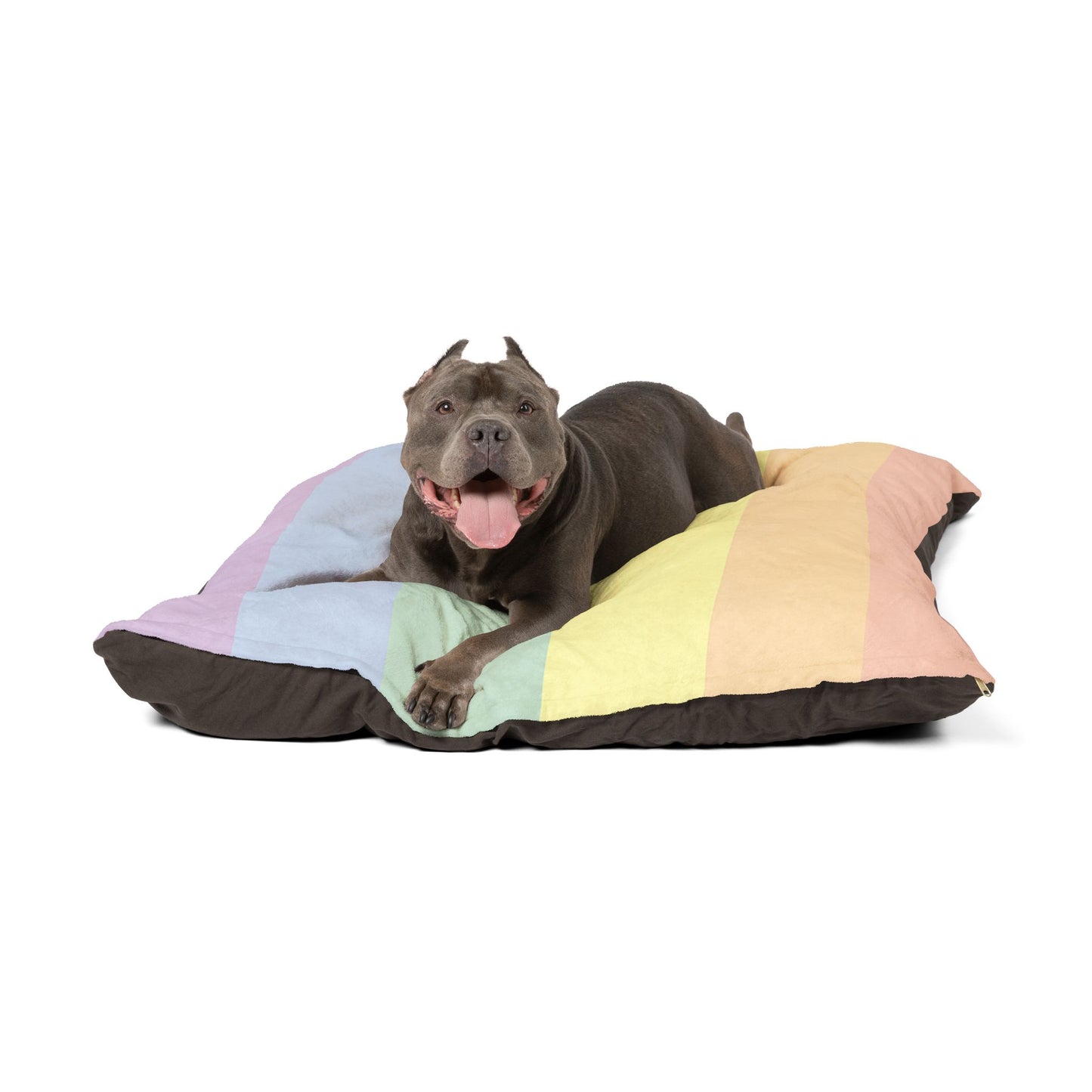 Luxury XL Muted-Rainbow Dog Bed – The Unity Collection, Plush (50″ × 40″)
