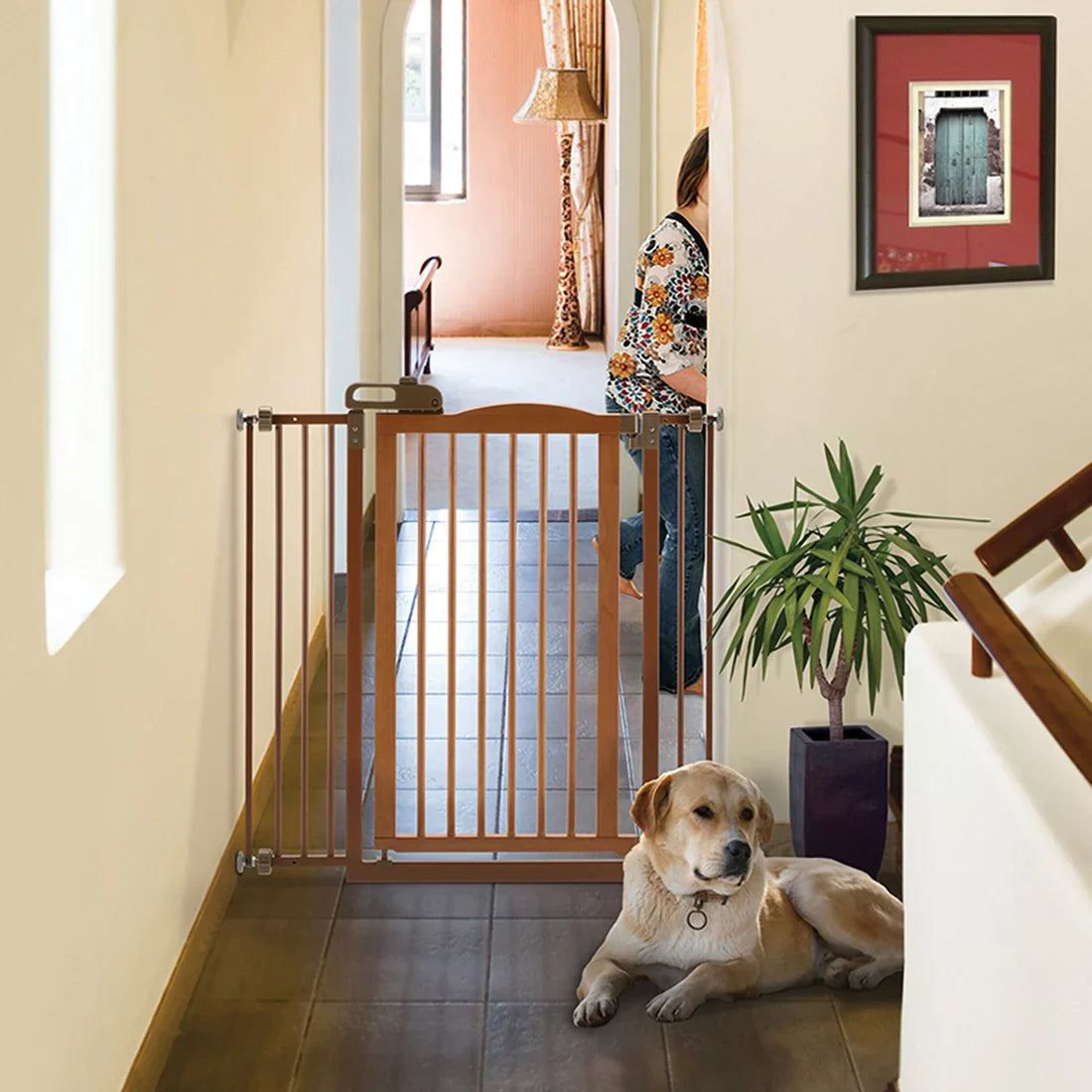 Dog Gate