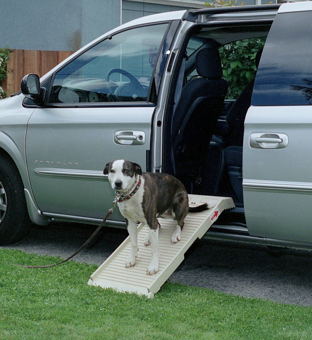 Dog Ramps
